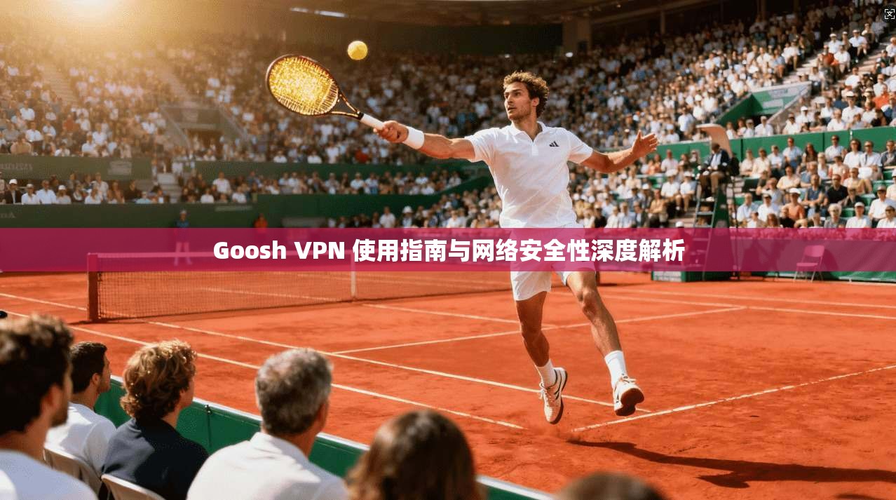 Goosh VPN 使用指南与网络安全性深度解析