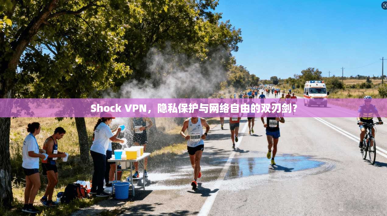 Shock VPN，隐私保护与网络自由的双刃剑？
