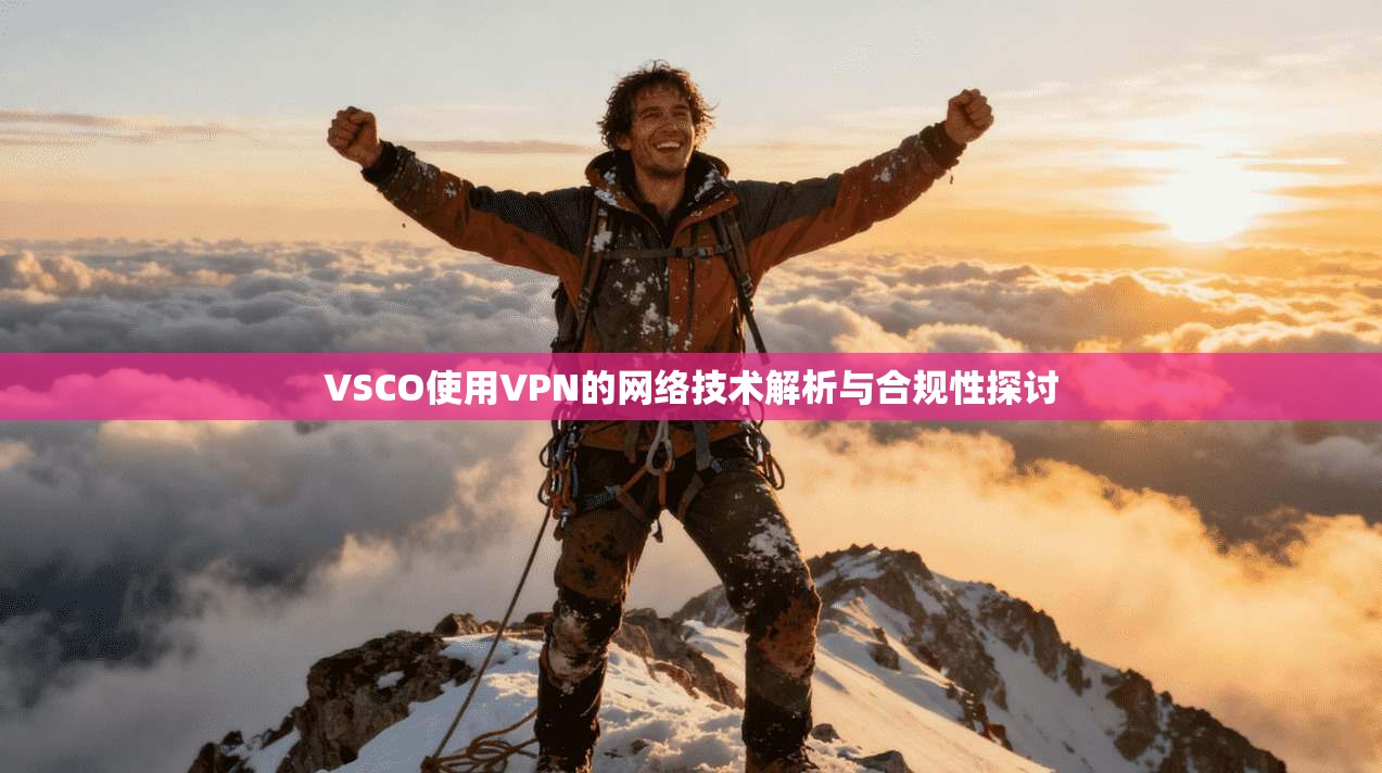 VSCO使用VPN的网络技术解析与合规性探讨