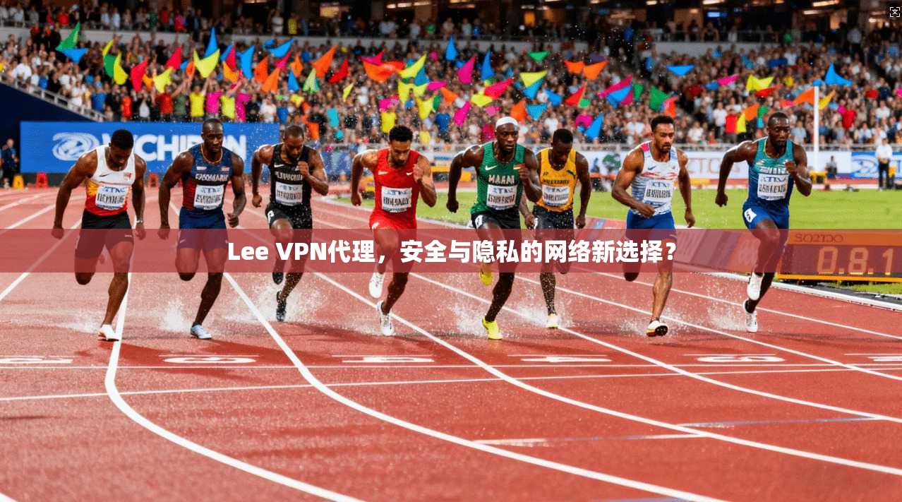 Lee VPN代理，安全与隐私的网络新选择？