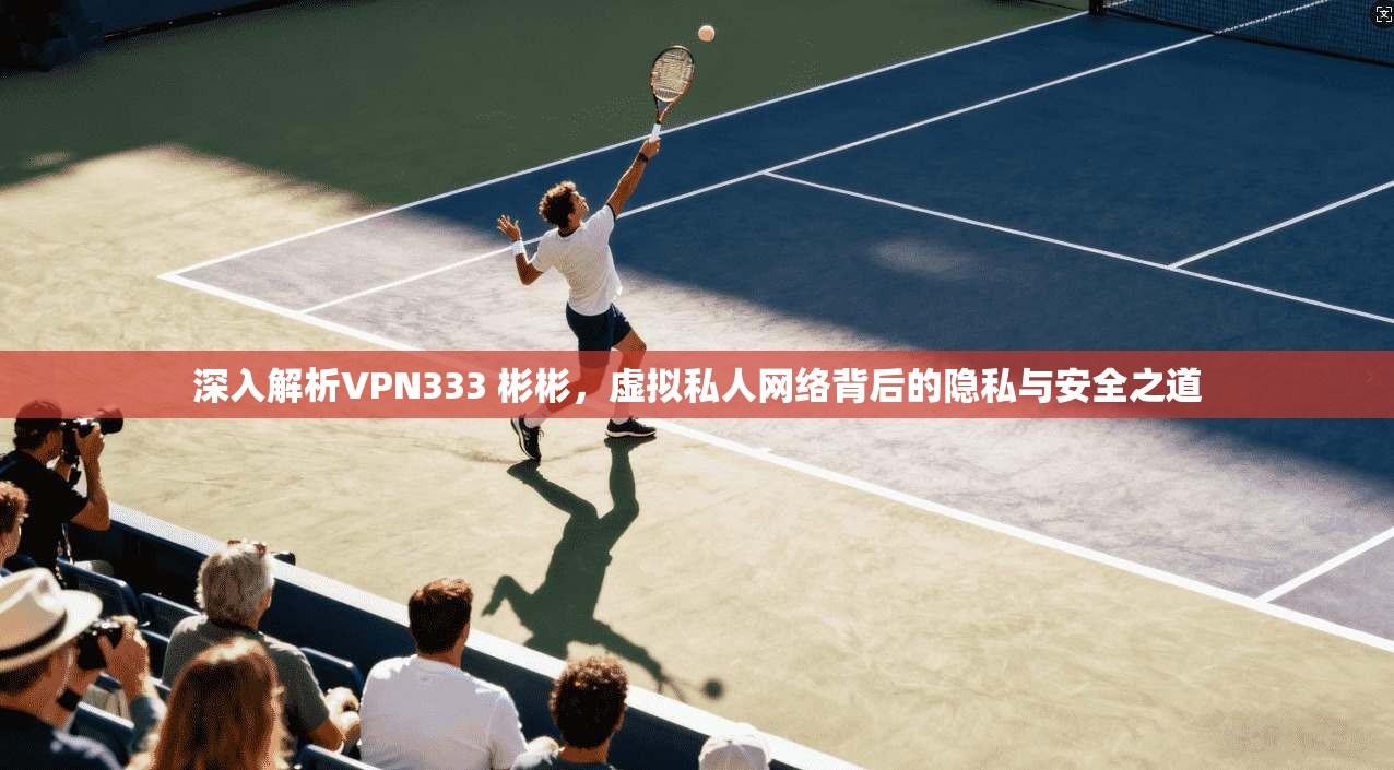 深入解析VPN333 彬彬，虚拟私人网络背后的隐私与安全之道