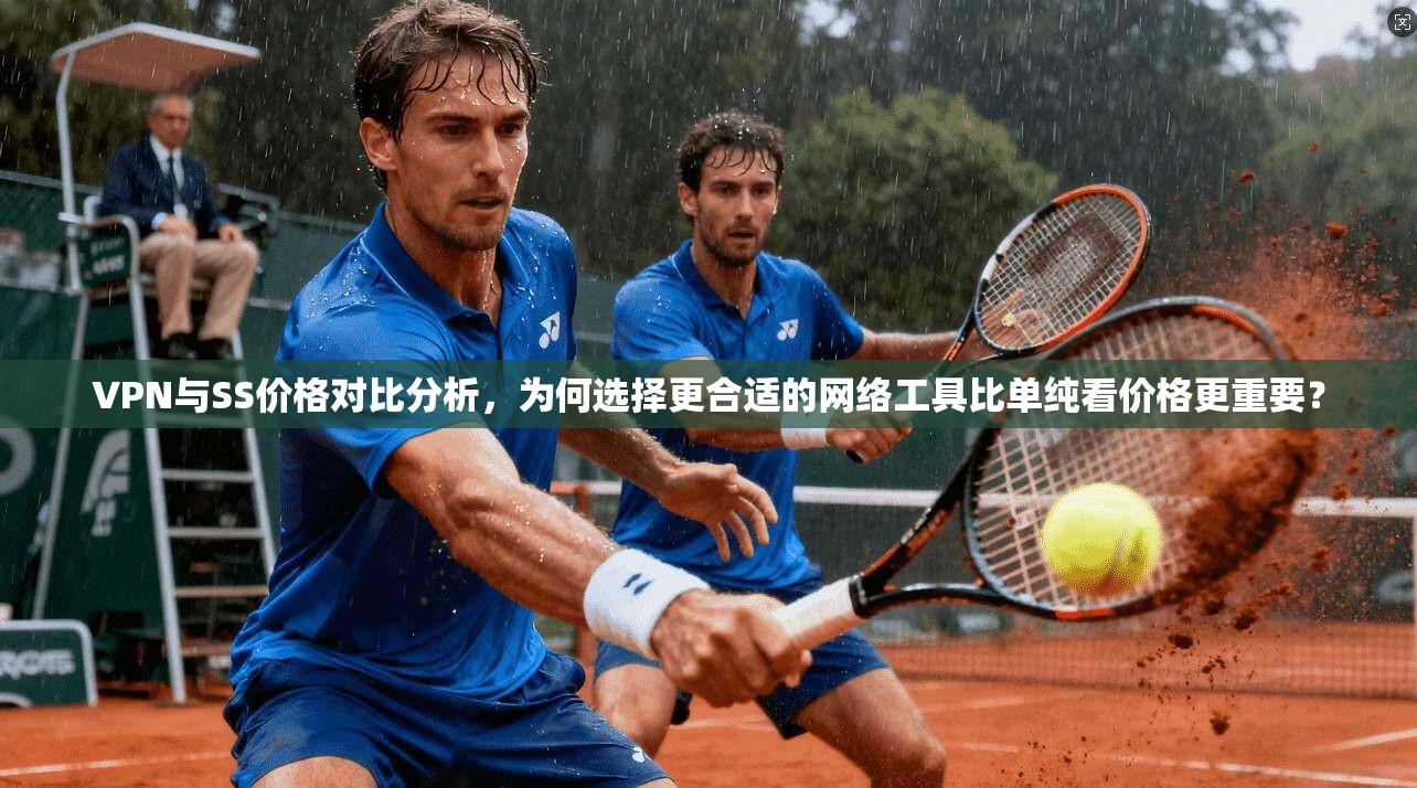 VPN与SS价格对比分析，为何选择更合适的网络工具比单纯看价格更重要？