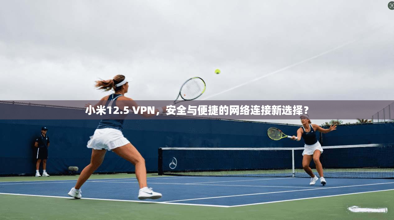 小米12.5 VPN，安全与便捷的网络连接新选择？