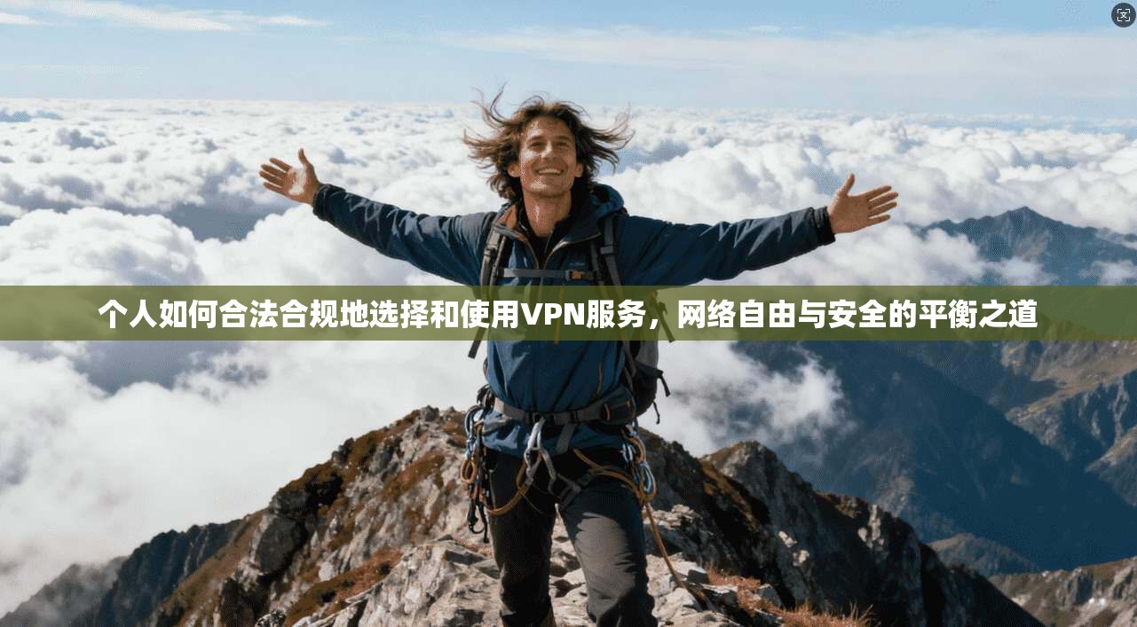 个人如何合法合规地选择和使用VPN服务，网络自由与安全的平衡之道