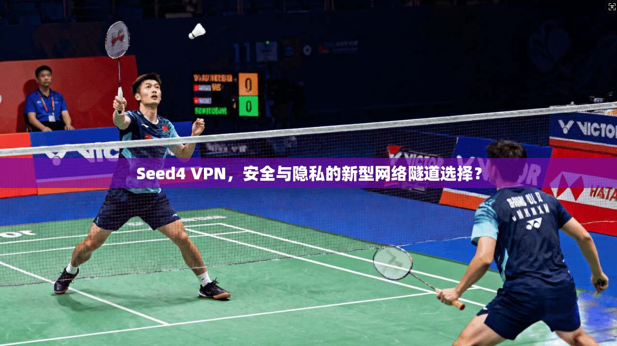 Seed4 VPN，安全与隐私的新型网络隧道选择？