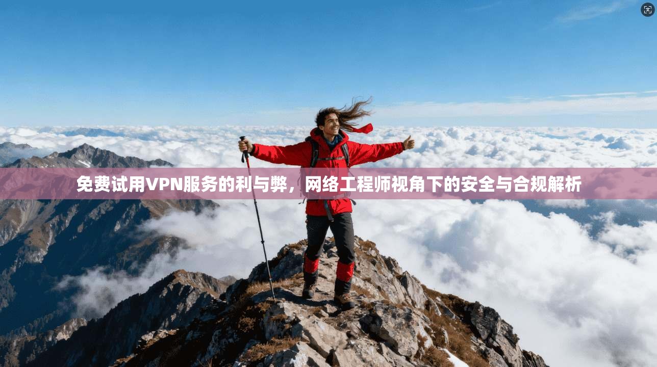 免费试用VPN服务的利与弊，网络工程师视角下的安全与合规解析