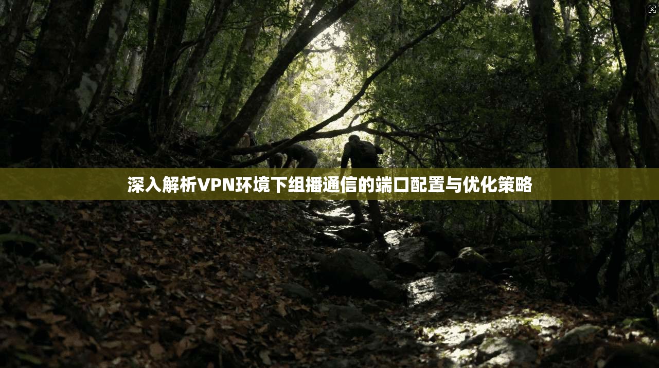 深入解析VPN环境下组播通信的端口配置与优化策略