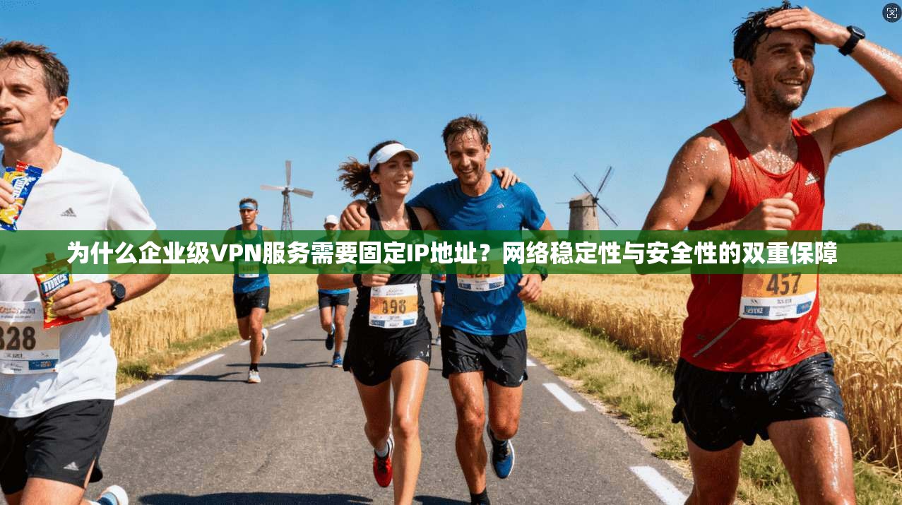 为什么企业级VPN服务需要固定IP地址？网络稳定性与安全性的双重保障