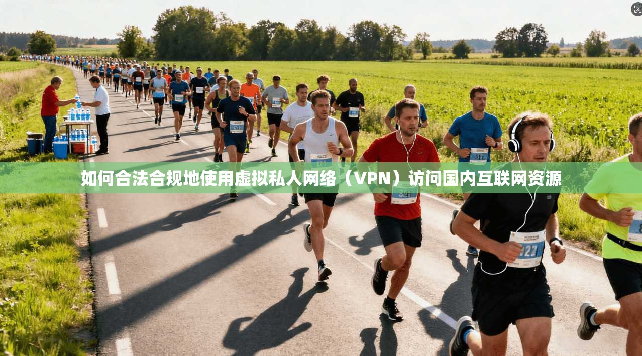 如何合法合规地使用虚拟私人网络（VPN）访问国内互联网资源