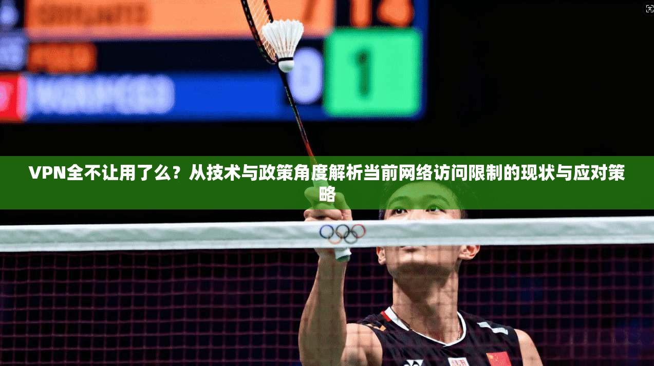 VPN全不让用了么？从技术与政策角度解析当前网络访问限制的现状与应对策略