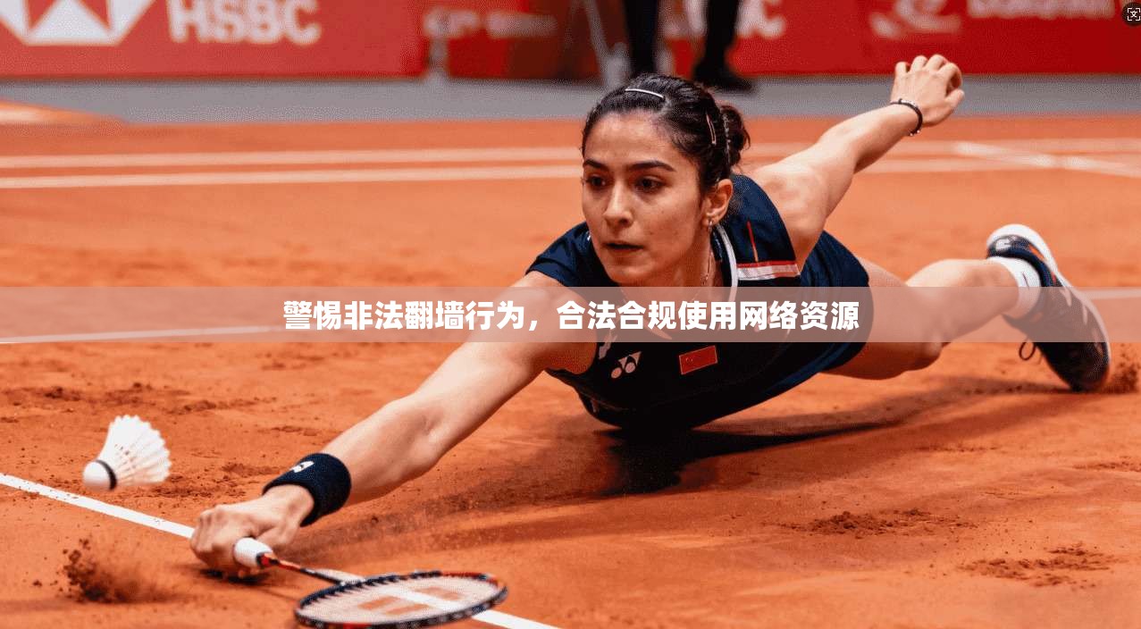 警惕非法翻墙行为，合法合规使用网络资源