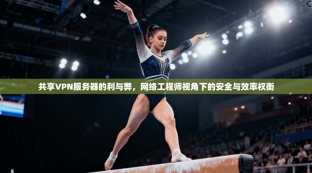 共享VPN服务器的利与弊，网络工程师视角下的安全与效率权衡