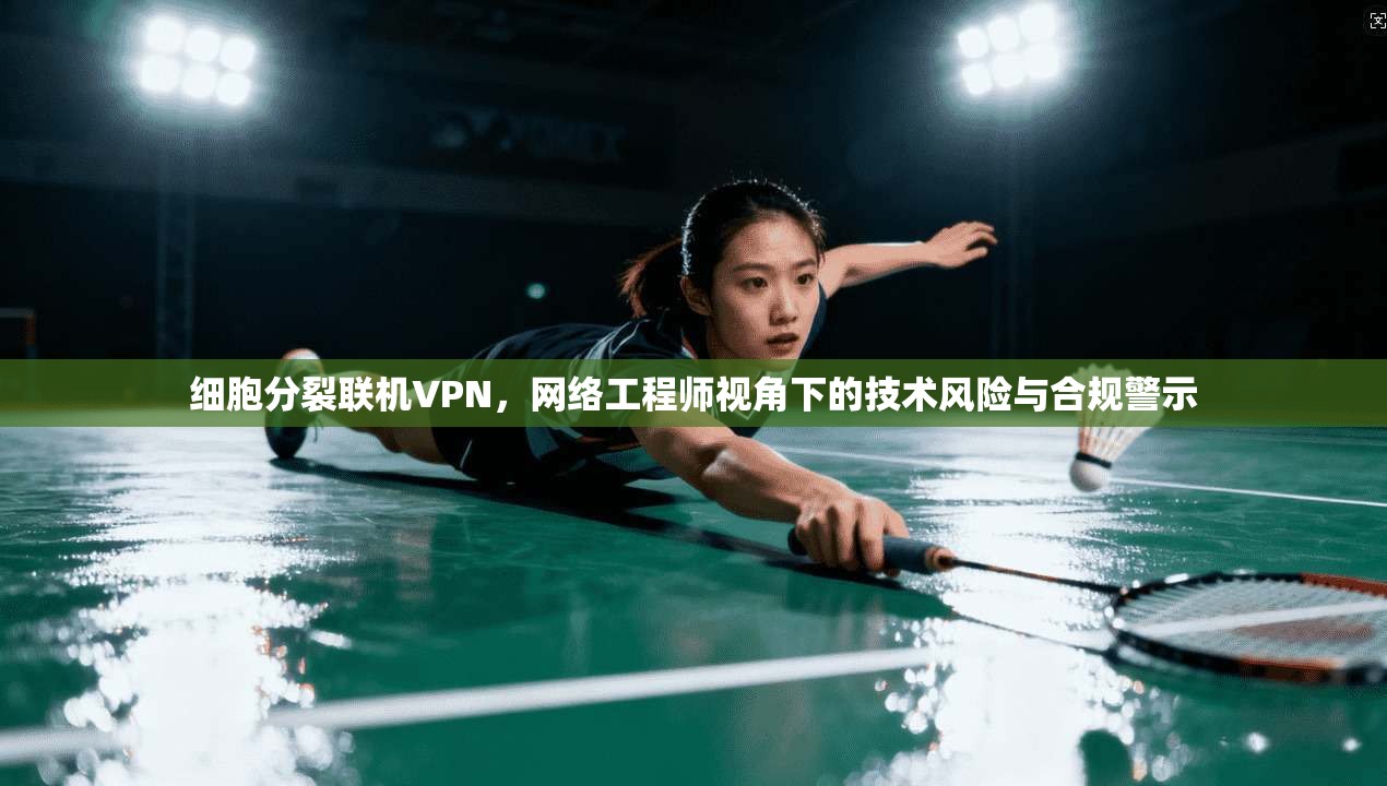 细胞分裂联机VPN，网络工程师视角下的技术风险与合规警示