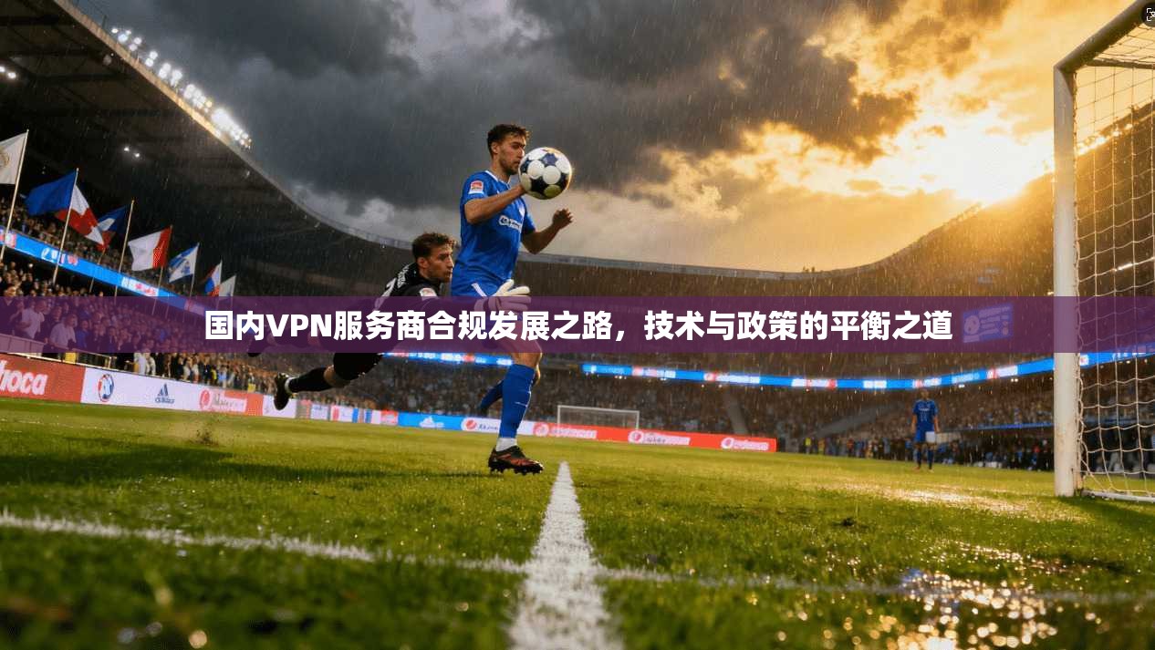 国内VPN服务商合规发展之路，技术与政策的平衡之道