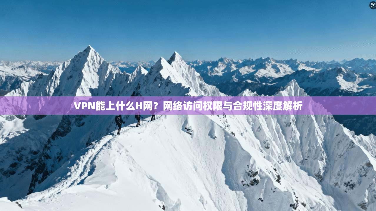 VPN能上什么H网？网络访问权限与合规性深度解析