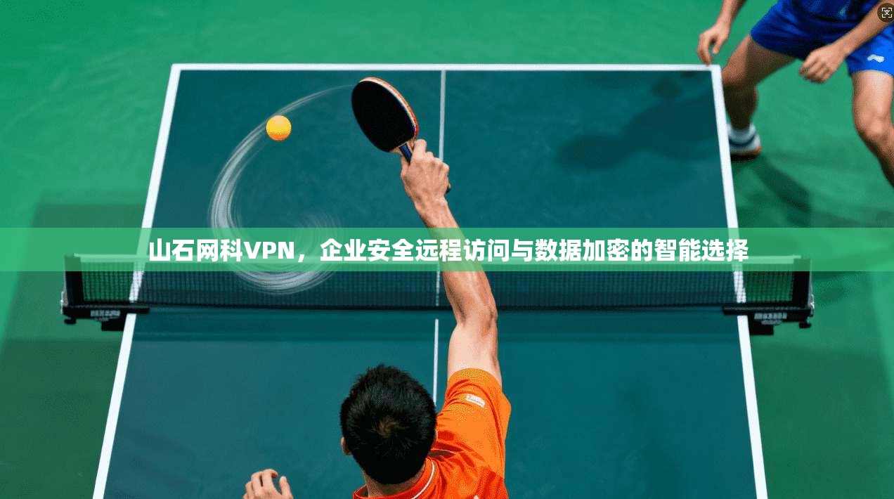 山石网科VPN，企业安全远程访问与数据加密的智能选择