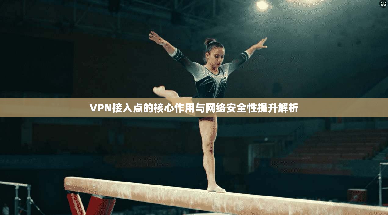 VPN接入点的核心作用与网络安全性提升解析
