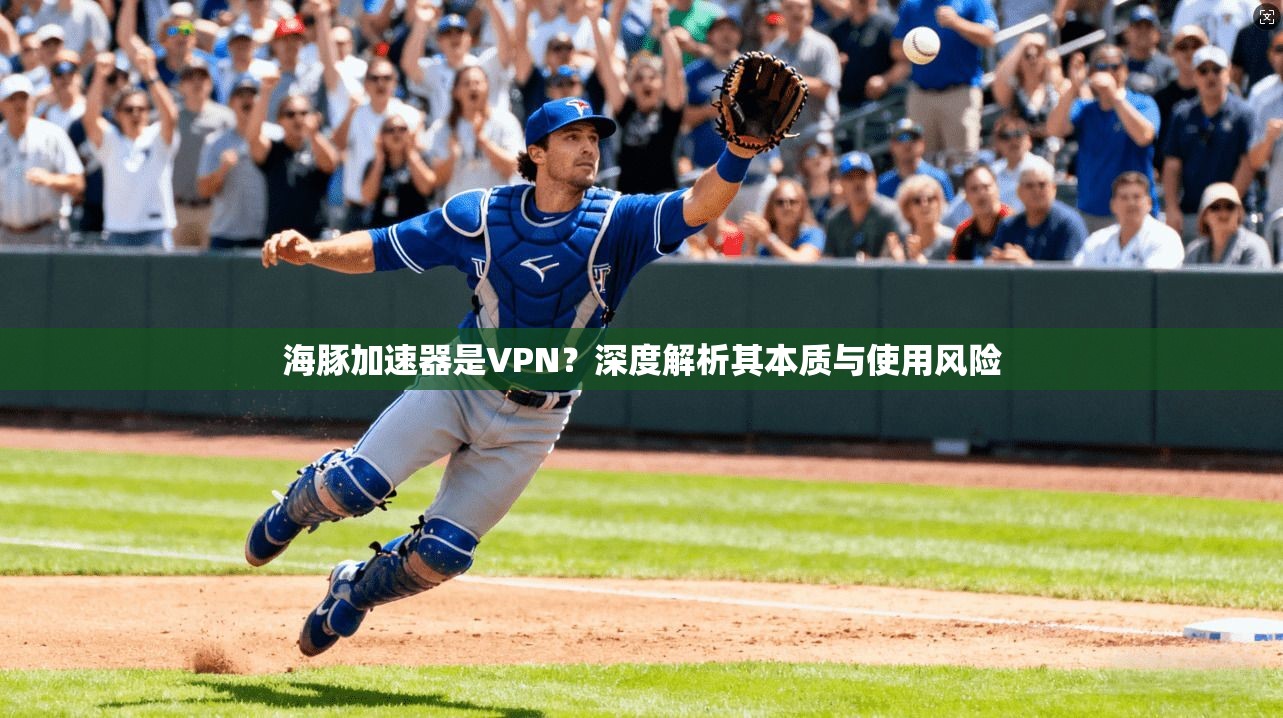 海豚加速器是VPN？深度解析其本质与使用风险