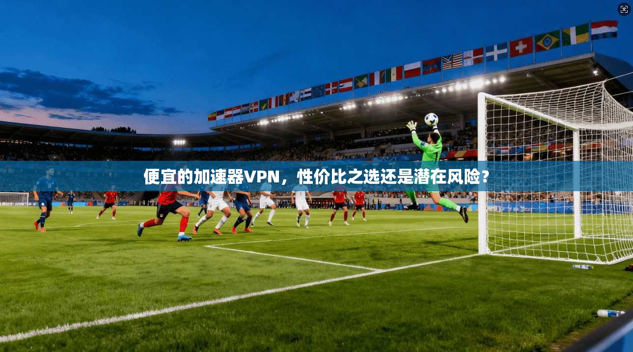 便宜的加速器VPN，性价比之选还是潜在风险？
