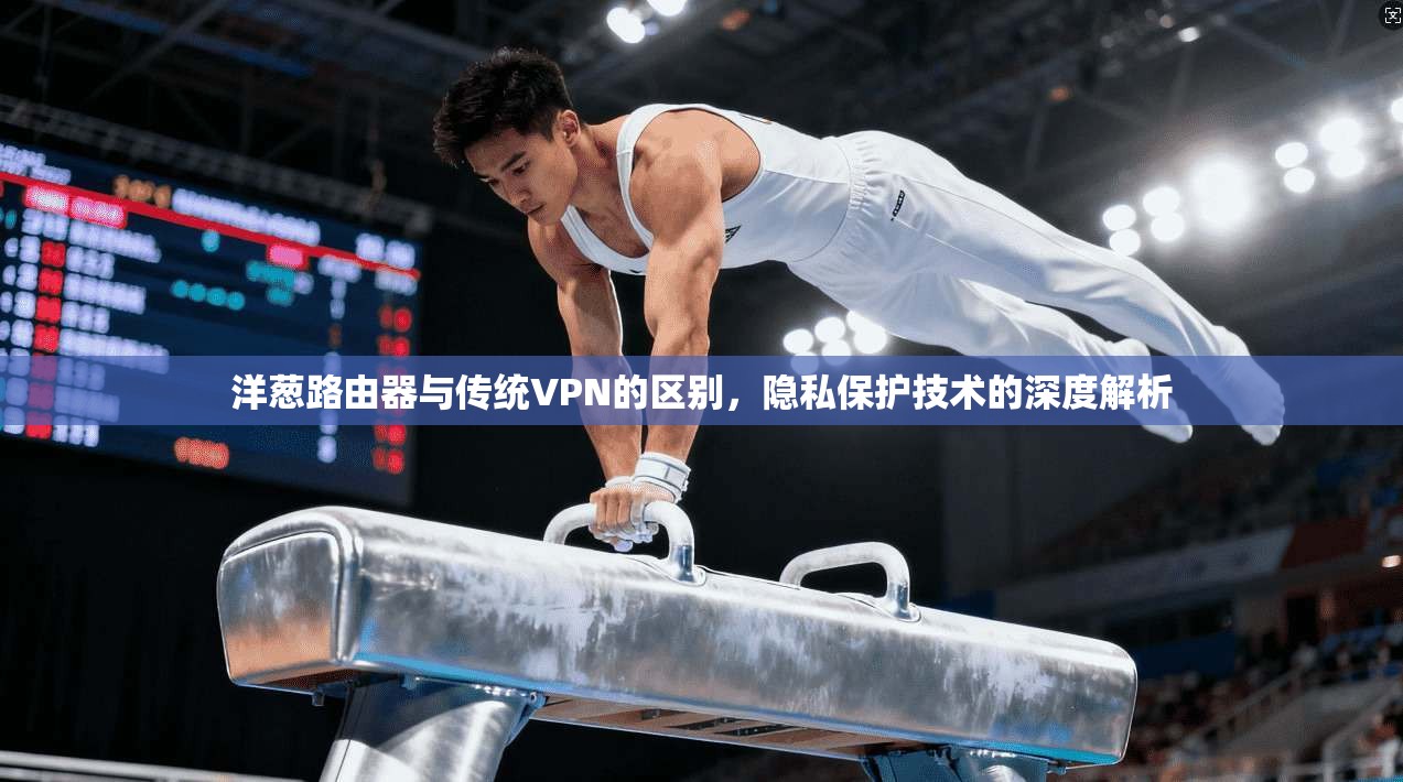 洋葱路由器与传统VPN的区别，隐私保护技术的深度解析