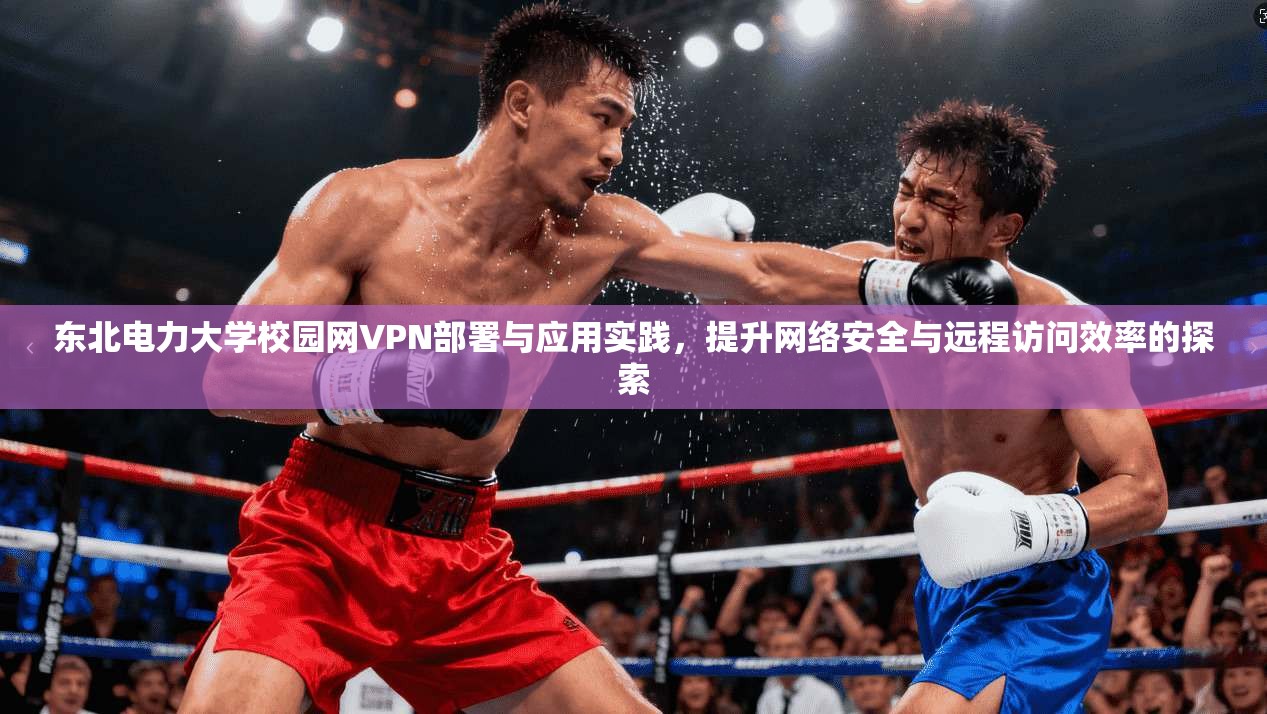 东北电力大学校园网VPN部署与应用实践，提升网络安全与远程访问效率的探索