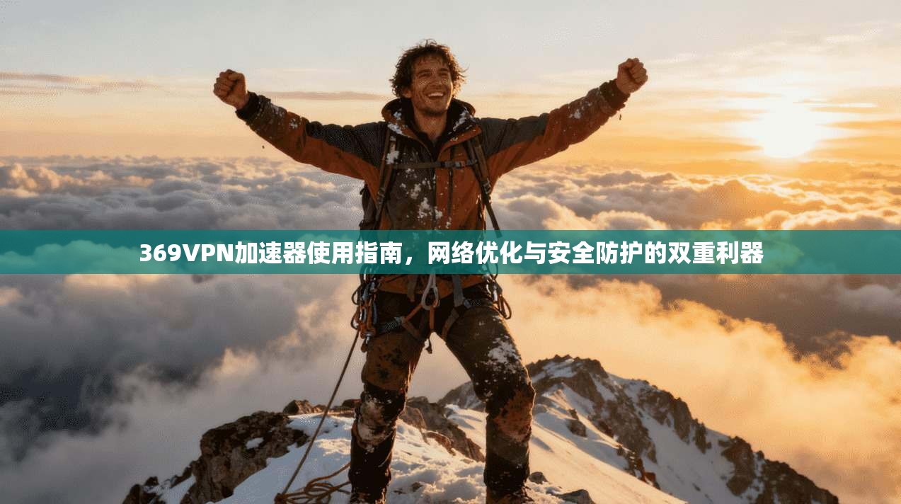 369VPN加速器使用指南，网络优化与安全防护的双重利器