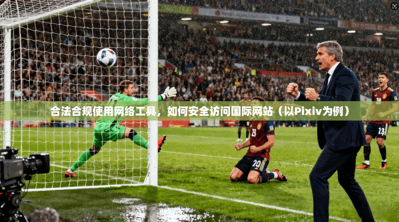 合法合规使用网络工具，如何安全访问国际网站（以Pixiv为例）