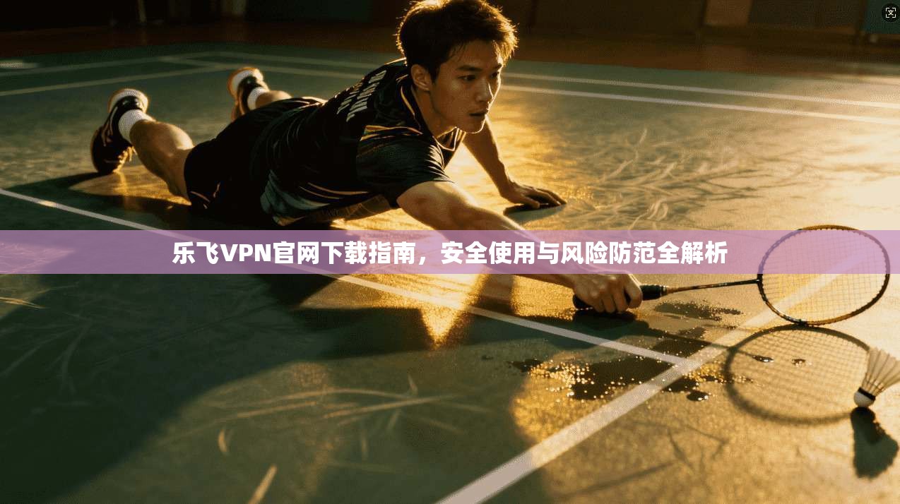 乐飞VPN官网下载指南，安全使用与风险防范全解析