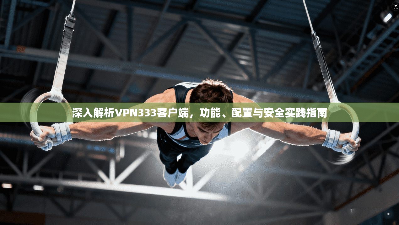 深入解析VPN333客户端，功能、配置与安全实践指南