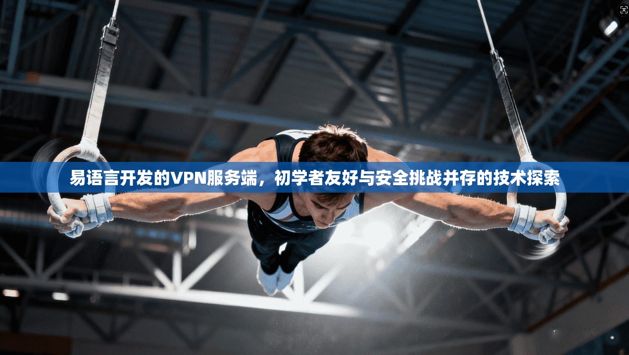 易语言开发的VPN服务端，初学者友好与安全挑战并存的技术探索
