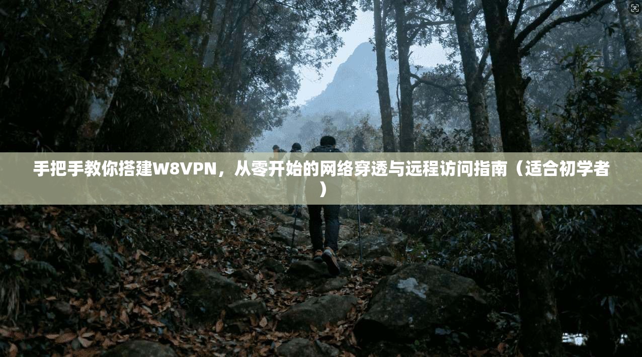 手把手教你搭建W8VPN，从零开始的网络穿透与远程访问指南（适合初学者）