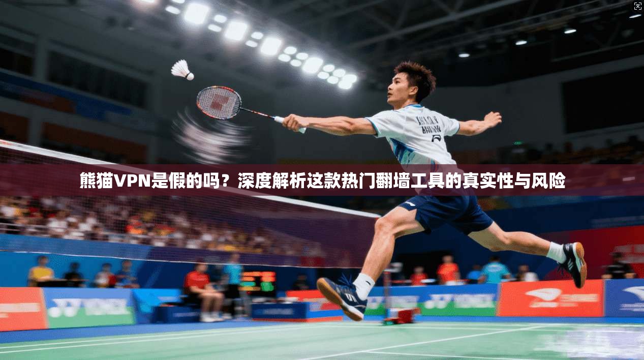 熊猫VPN是假的吗？深度解析这款热门翻墙工具的真实性与风险
