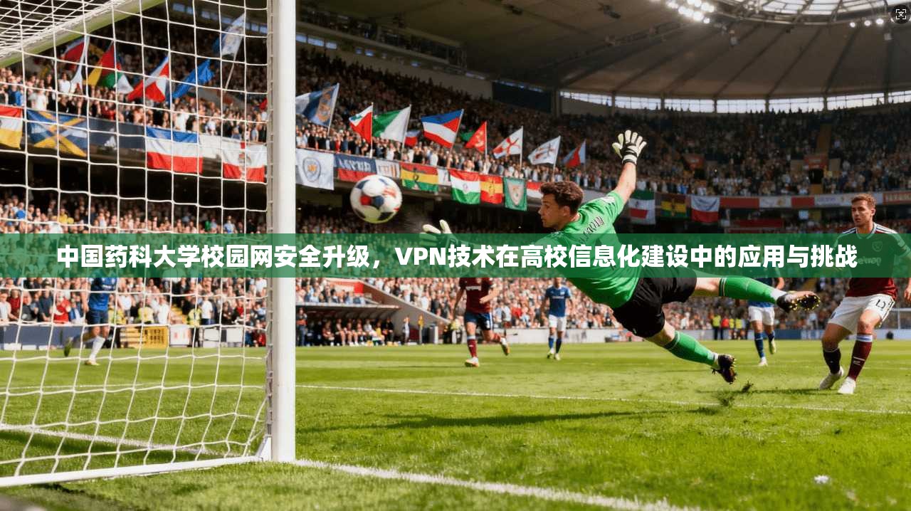 中国药科大学校园网安全升级，VPN技术在高校信息化建设中的应用与挑战