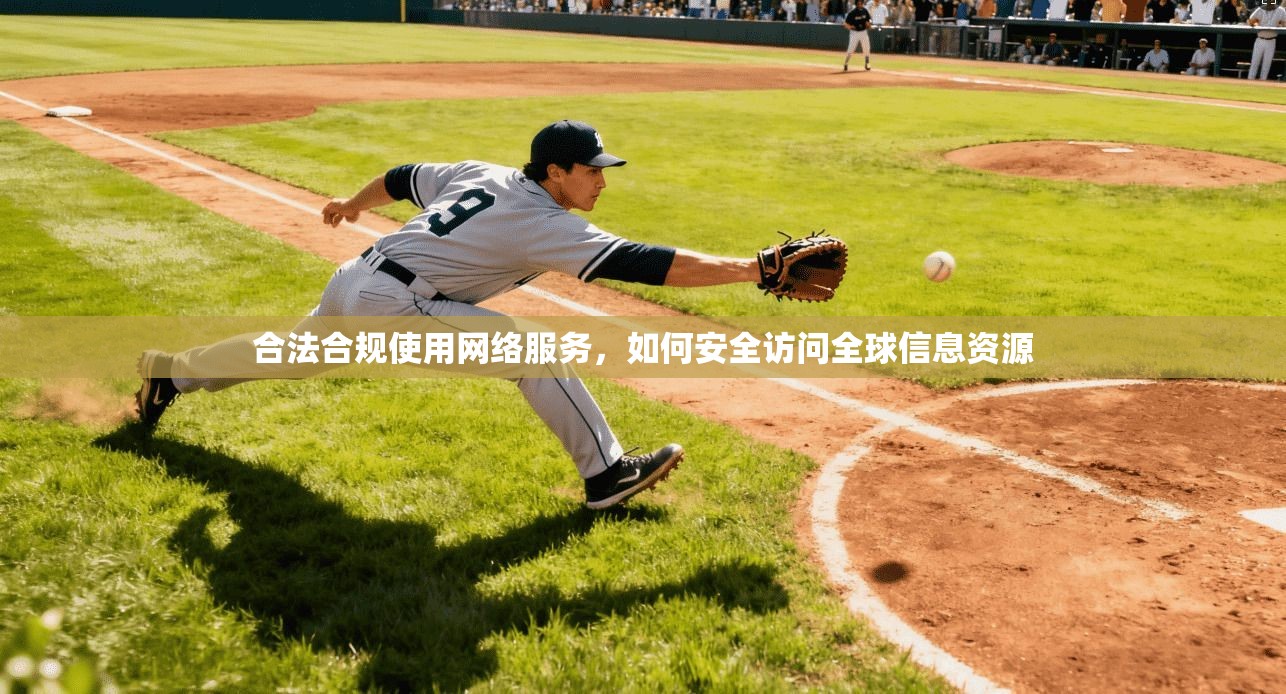 合法合规使用网络服务，如何安全访问全球信息资源