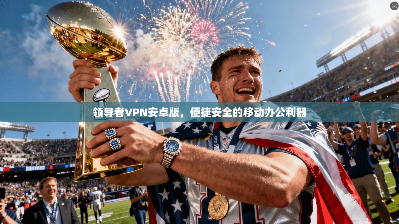 领导者VPN安卓版，便捷安全的移动办公利器