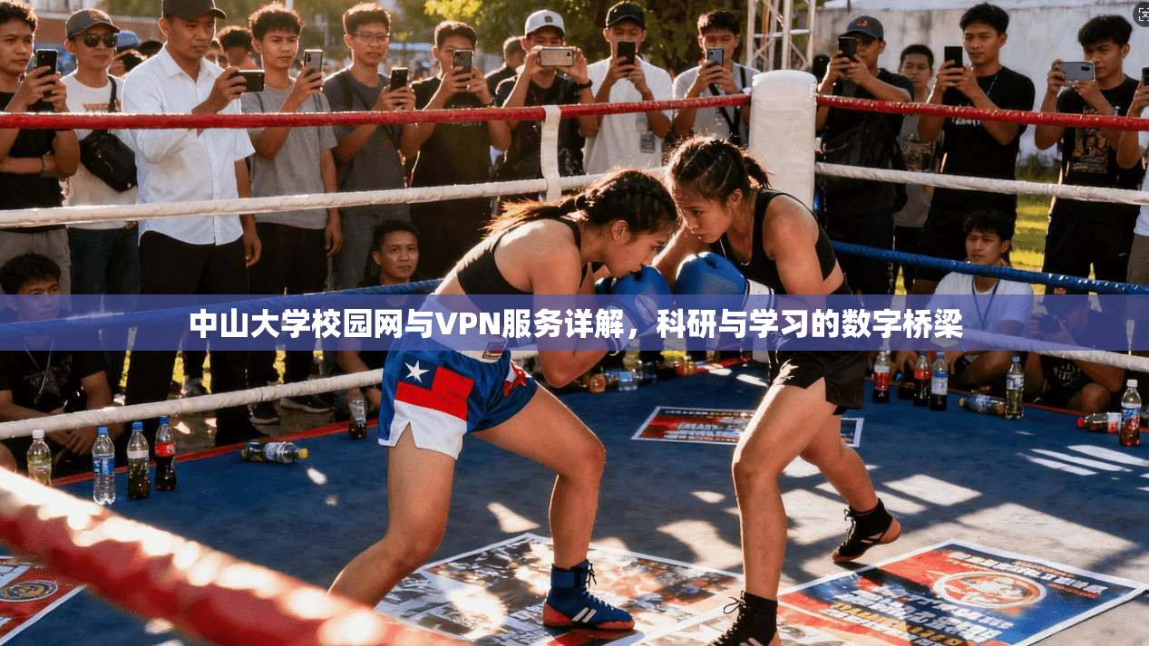 中山大学校园网与VPN服务详解，科研与学习的数字桥梁