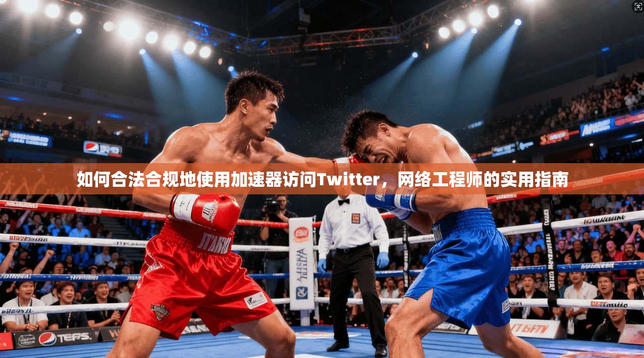 如何合法合规地使用加速器访问Twitter，网络工程师的实用指南