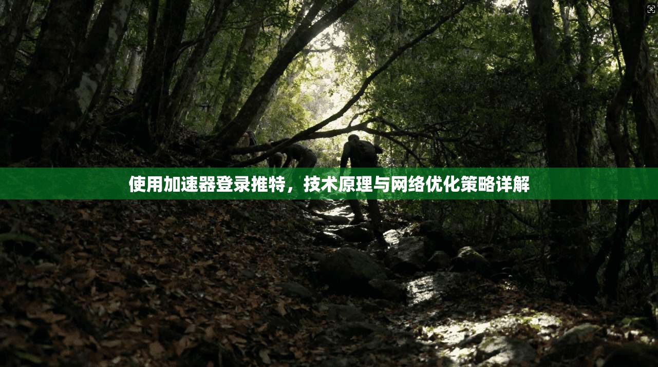使用加速器登录推特，技术原理与网络优化策略详解