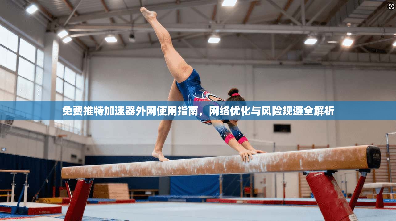 免费推特加速器外网使用指南，网络优化与风险规避全解析