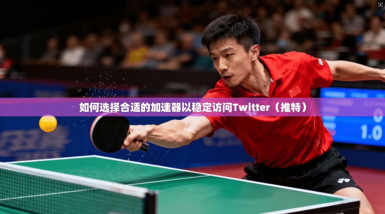 如何选择合适的加速器以稳定访问Twitter（推特）
