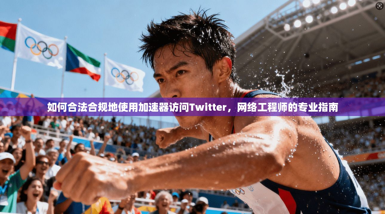 如何合法合规地使用加速器访问Twitter，网络工程师的专业指南