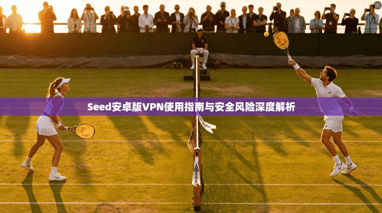 Seed安卓版VPN使用指南与安全风险深度解析