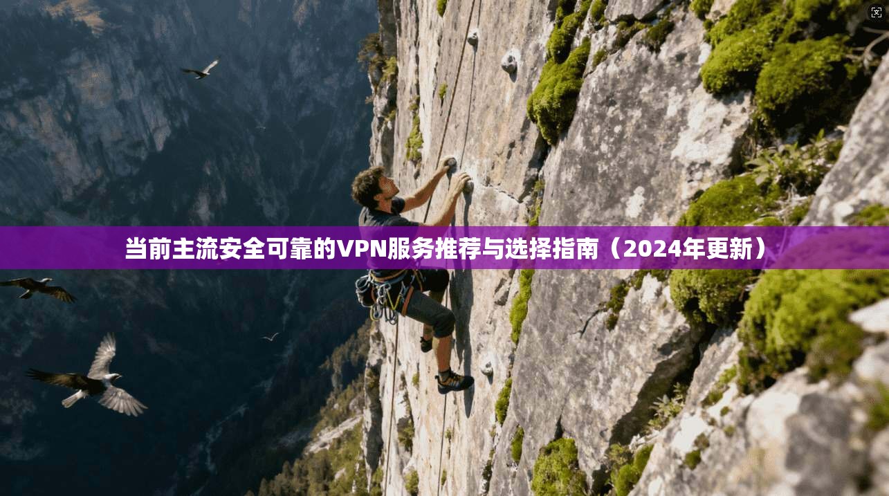 当前主流安全可靠的VPN服务推荐与选择指南（2024年更新）