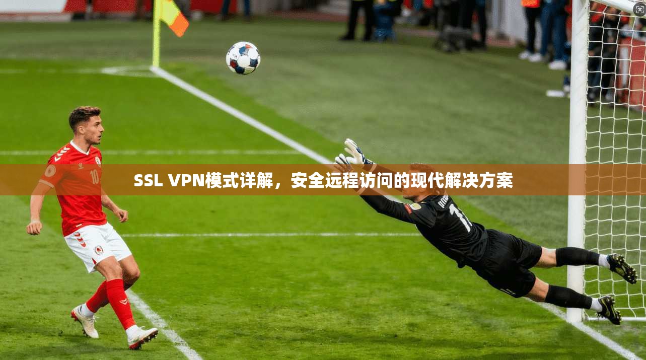 SSL VPN模式详解，安全远程访问的现代解决方案
