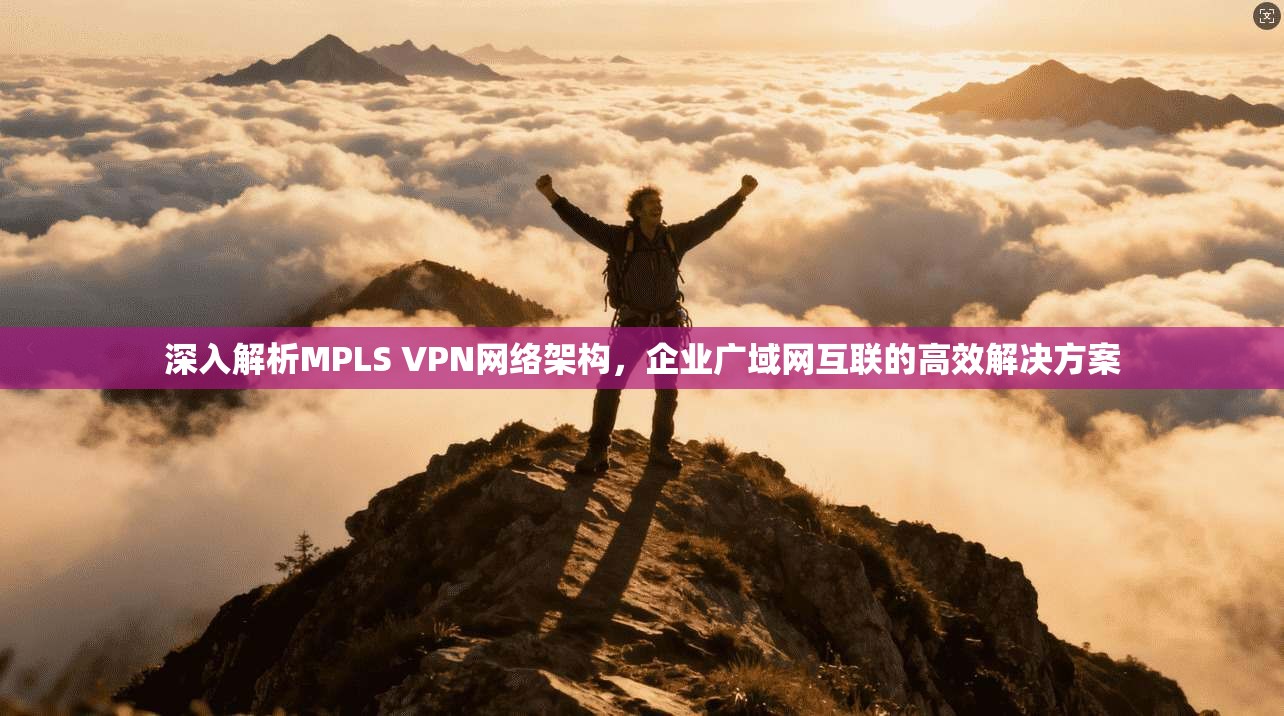 深入解析MPLS VPN网络架构，企业广域网互联的高效解决方案