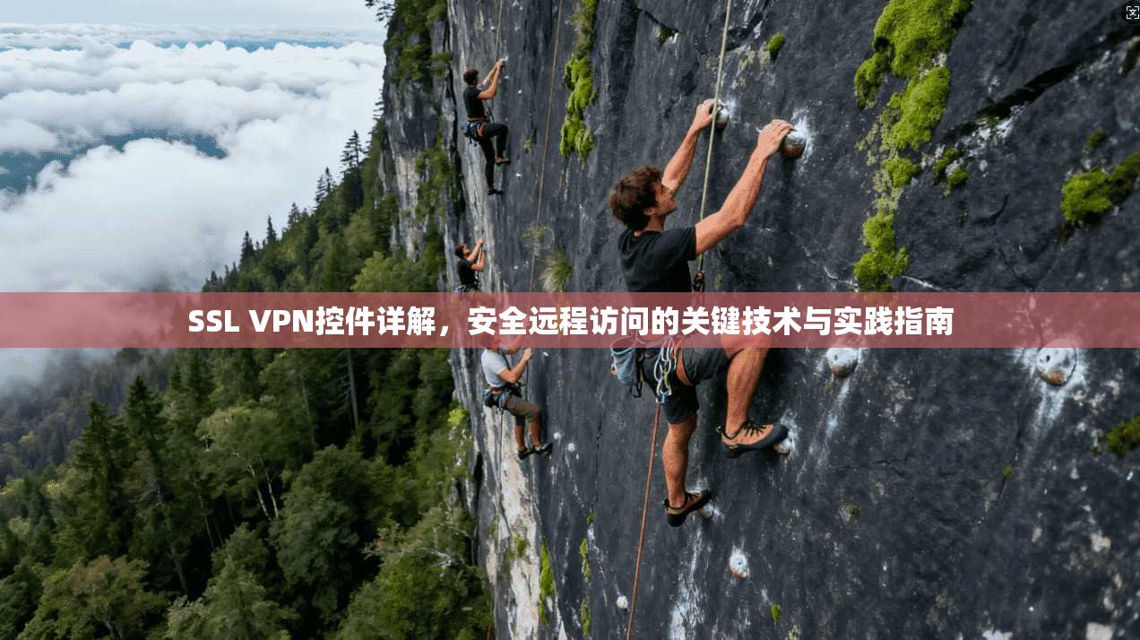 SSL VPN控件详解,安全远程访问的关键技术与实践指南 SSL VPN控件详解,安全远程访问的关键技术与实践指南