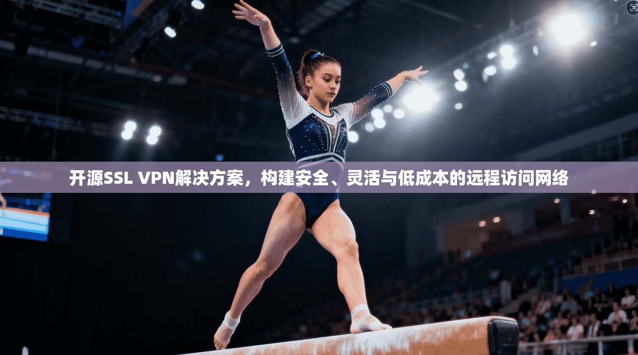开源SSL VPN解决方案，构建安全、灵活与低成本的远程访问网络