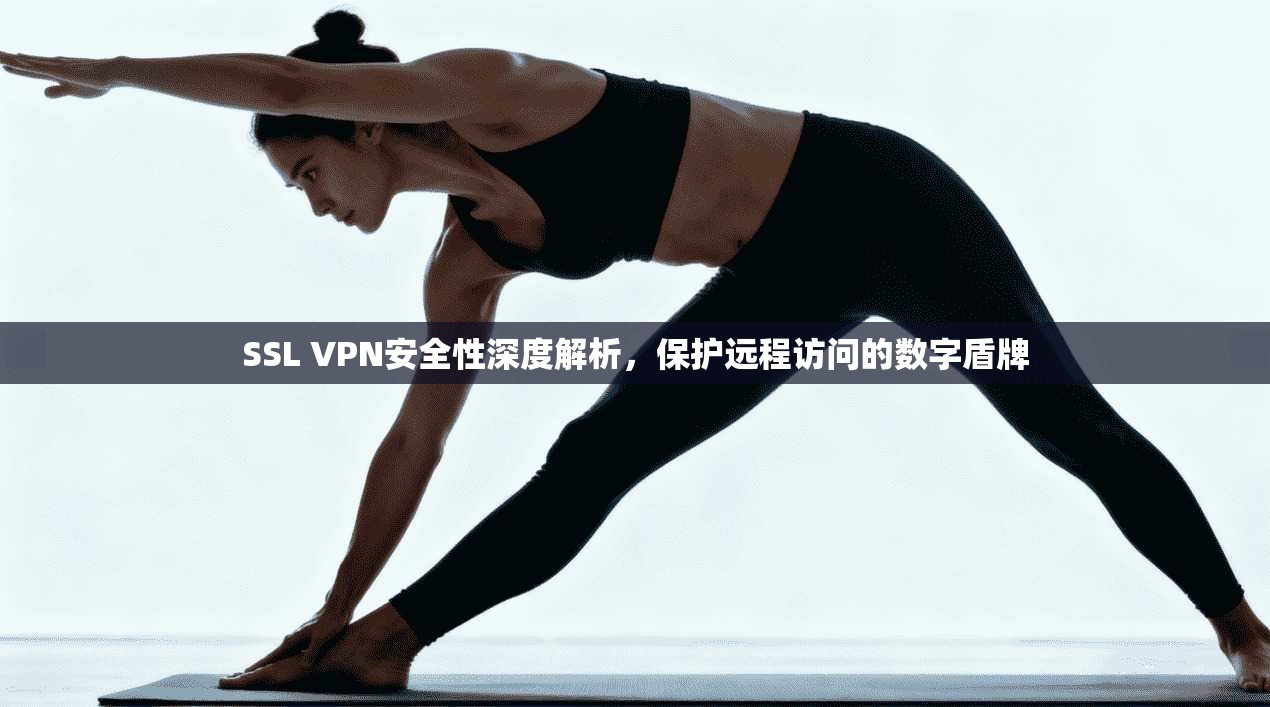 SSL VPN安全性深度解析,保护远程访问的数字盾牌 SSL VPN安全性深度解析,保护远程访问的数字盾牌