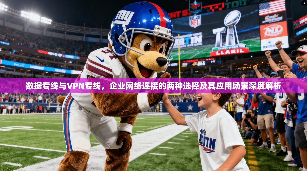 数据专线与VPN专线,企业网络连接的两种选择及其应用场景深度解析 数据专线与VPN专线,企业网络连接的两种选择及其应用场景深度解析