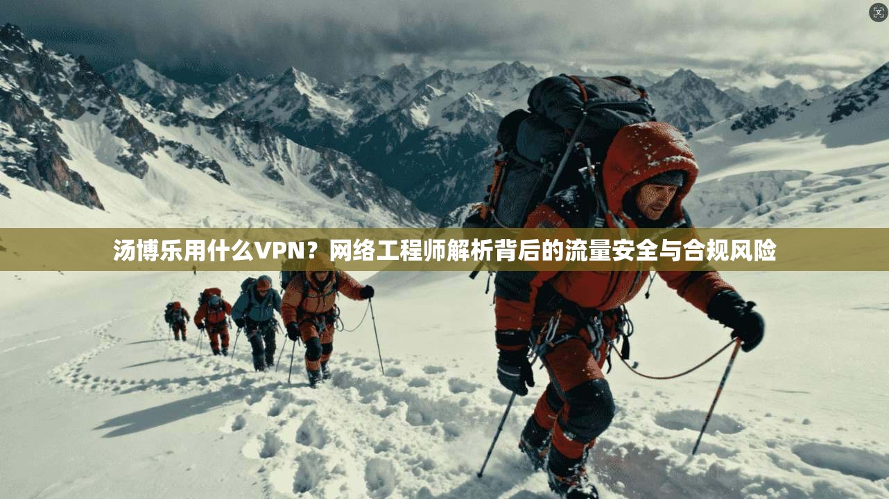 汤博乐用什么VPN？网络工程师解析背后的流量安全与合规风险